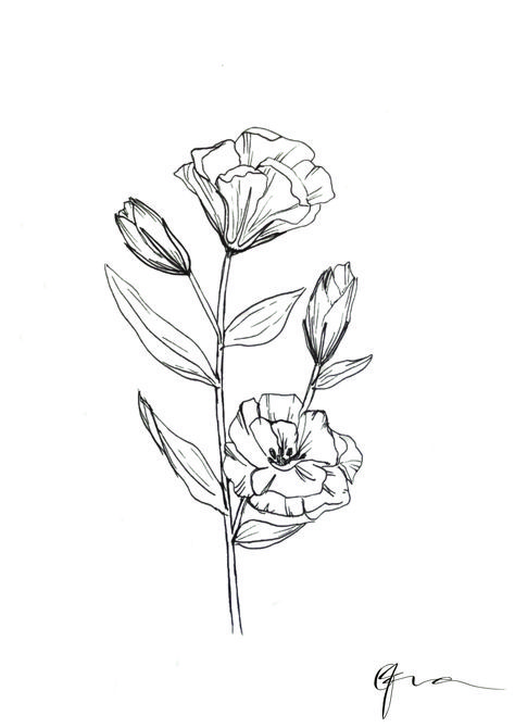 Lisanthius Tattoo, Lisianthus Illustration, Cistus Flower Tattoo, Lisianthus Drawing, Lisianthus Tattoo, Meaningful Flower Tattoos, Bc Tattoo, Tattoo Project, Floral Drawing