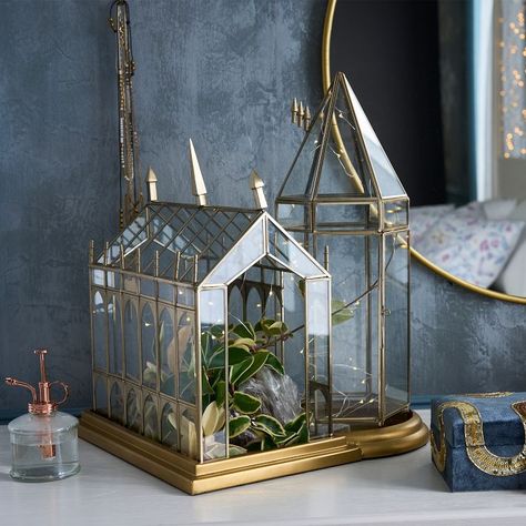 Harry Potter™ Great Hall Terrarium | Pottery Barn Teen Velaris Townhouse, Harry Potter Pottery Barn, Harry Potter Room Decor, The Great Hall, Organic Cotton Bedding, Harry Potter Decor, Great Hall, Harry Potter Room, Flowering Plants