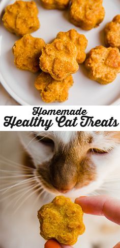 Grain Free Cat Treats, Home Made Cat Treats Easy, Organic Cat Treats, Homemade Cat Treats Recipes, Cat Bakery, Diy Cat Treats, Homemade Cat Treats, Cat Tricks, Treat Business