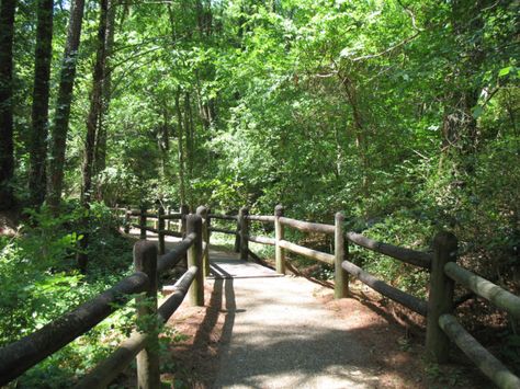 ruly a site to see, the forest was declared a National Natural Landmark in 1965. Mississippi Travel, Jackson Mississippi, Jackson Ms, Petrified Forest, Beautiful Sights, Nature Trail, Incredible Places, Pretty Places, Natural Wonders