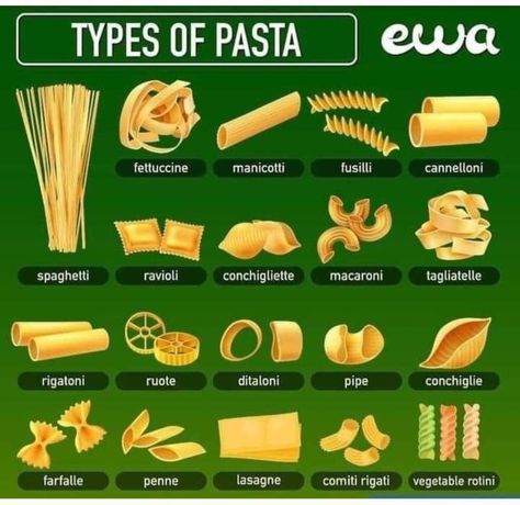 Culinary Student, Types Of Pasta, Culinary Basics, Food Vocabulary, Pasta Types, Homemade Cookbook, Vegetarian Fast Food, Culinary Techniques, Food Infographic