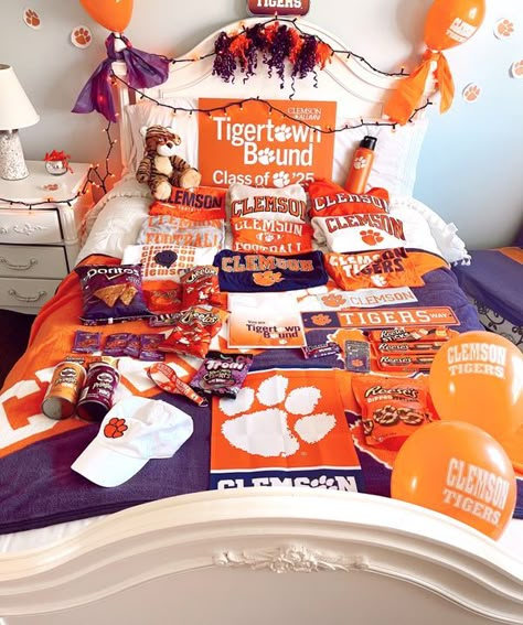 Clemson University Aesthetic, Clemson Aesthetic, Clemson Dorm, Clemson Campus, Dorm Themes, Bed Party, College Merch, Senior Season, Dream Dorm