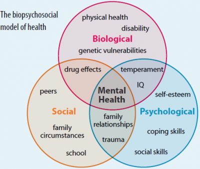 Lmsw Exam, Social Work Theories, Social Work Interventions, Social Work Exam, Social Work Practice, Detox Kur, Clinical Social Work, Health Psychology, School Social Work