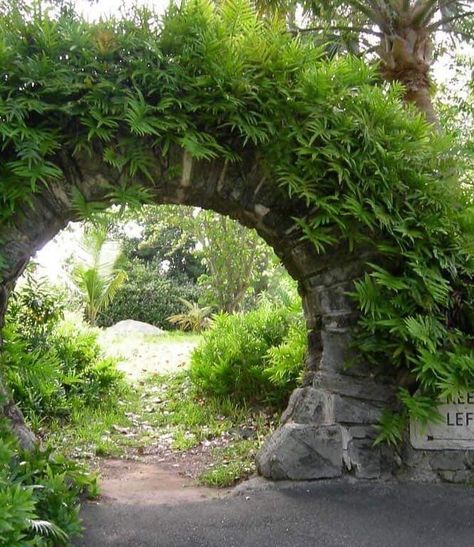 Moon Gates, Wood Moon, Moon Gate, Pool Lounge, Yard Project, Nature Plants, Garden Features, Dream Garden, Future House