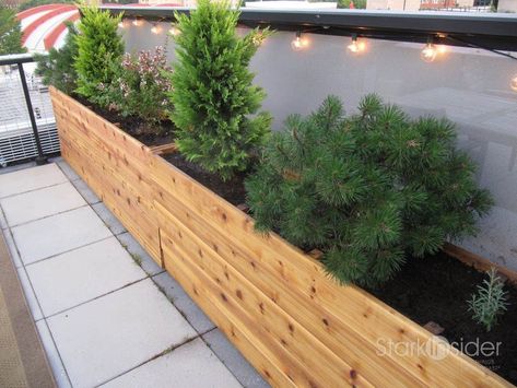 Urban Planter Box Design Long Planter Boxes, Vegetable Planter Boxes, Wood Planter Boxes, Diy Wood Planter Box, Long Planter, Planter Box Plans, Backyard Walkway, Fence Planters, Balcony Planters