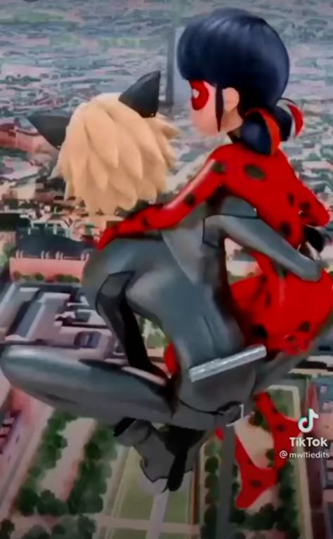 Ladybug E Catnoir, Catnoir And Ladybug, Miraculous Ladybug Oc, Miraculous Wallpaper, Miraculous Ladybug Wallpaper, Miraculous Ladybug Fanfiction, Marinette And Adrien, Miraculous Ladybug Movie, Miraculous Ladybug Fan Art