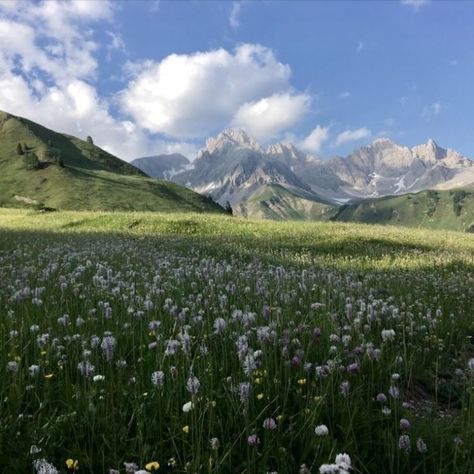 Mountain Meadow Aesthetic, Nature Icons Aesthetic, Meadow Core, Dolomites Aesthetic, Countryside Mountains, Mountain Core, Meadow Aesthetic, Alps Mountains, Summer Wildflowers