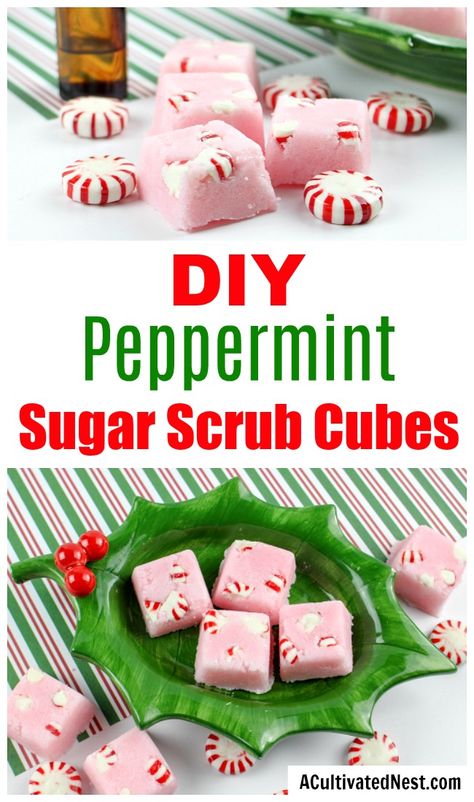 DIY Candy Cane Sugar Scrub Cubes- These DIY candy cane sugar scrub cubes smell like peppermint! They're wonderful DIY Christmas gifts, or a great way to keep your skin healthy in the winter! | body scrub, face scrub, hand scrub, homemade gift ideas, #diyGift #sugarScrub #ACultivatedNest Candy Cane Sugar Scrub, Sugar Scrub Diy Peppermint, Diy Candy Cane, Peppermint Sugar Scrub, Sugar Scrub Cubes, Diy Christmas Candy, Peppermint Sugar Scrubs, Peppermint Sugar, Peppermint Candy Cane