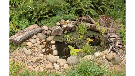 I Made a Dragonfly Pond! | The World's Best Gardening Blog Diy Mini Pond Ideas, Small Pond Landscaping, Dragonfly Habitat, Boat Pond, Ponds Ideas, Dragonfly Pond, Wildlife Pond, Asclepias Incarnata, Mini Pond