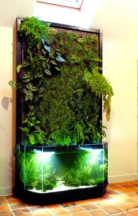 Aqua Ponics, Indoor Nature, Taman Air, Amazing Aquariums, Indoor Water Garden, Aquarium Terrarium, Aquascape Aquarium, Plants Growing, Desain Lanskap