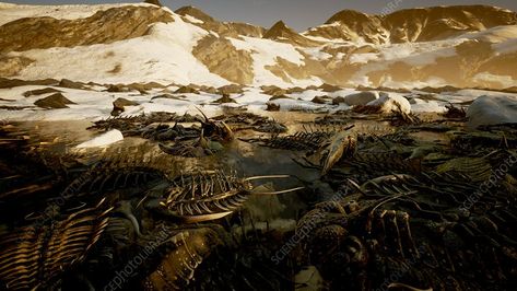 Ordovicianâ Silurian mass extinction, illustration - Stock Image - C050/6400 - Science Photo Library Extinction Of Species, Species Extinction, Mass Extinction, Conference Poster, Library Website, Science Photos, Wales England, Photo Library, On Earth