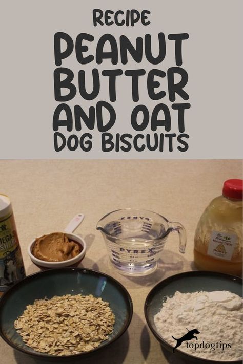 Recipe: Peanut Butter and Oat Dog Biscuits Doggie Biscuits Recipes, Dog Biscuits Homemade Peanut Butter, Puppy Biscuits Homemade, Home Made Dog Biscuits Recipes, Homemade Dog Biscuits Recipe, Peanut Butter And Oats Dog Treats, Doggie Cookies Recipe, Dog Biscuits Homemade Easy, Peanut Butter Dog Cookies Recipe