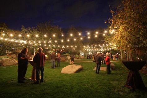 / Backyard party idea string lights from the house to the garage Backyard Gala Party, Outdoor Party String Lights, Outside Party Lights, Fairy Lights Backyard Party, New Years Backyard Party, Garden Party Fairy Lights, Large Backyard Party, Backyard Fairy Lights Party, Lawn Lighting Ideas