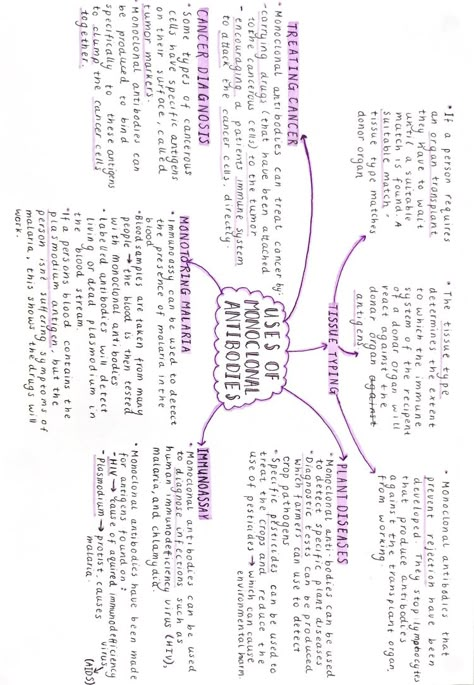 Study Maps Ideas, Mind Mapping For Studying, Mind Map Revision, Aesthetic Flowchart Ideas, Revision Mind Maps, Aesthetic Mind Map Notes, Mind Maps Template, Mind Map Inspiration, Study Mind Maps