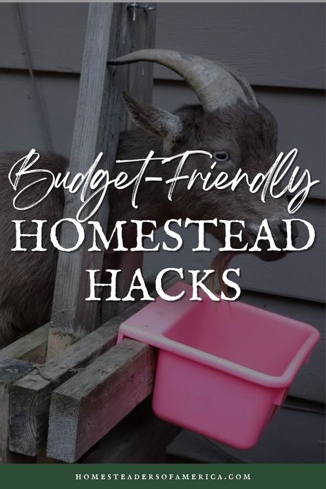 Budget Homestead Hacks: Sustainable Living Without Breaking the Bank - Homesteaders of America Homestead Hacks, Homesteading Diy Projects, Kitchen Life Hacks, Cow Manure, Environmentally Friendly Living, Homesteading Diy, Soil Improvement, Garden Trellis, Best Budget