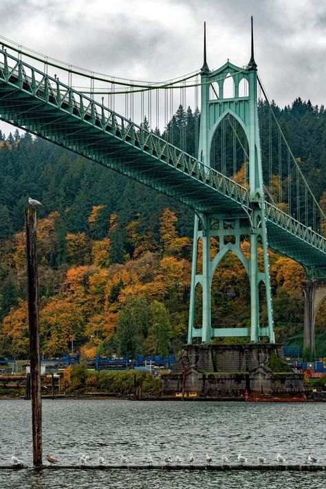 Portland Bridges, Steel Bridge, George Washington Bridge, St Johns, The Saint, Girls Club, Brooklyn Bridge, St John, Portland