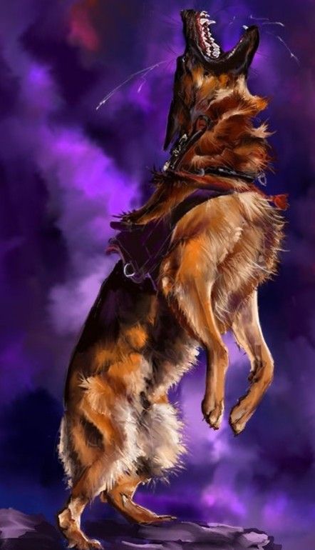 Follow us for more cute content.😊🐕‍🦺🐾 #german_shepherd _puppy #german_shepherd_dog #german_shepherd_price #german_shepherd_for_sale #german_shepherd_puppy_price #german_shepherd_weight #german_shepherd_original_breed German Shepherd Art Drawing, German Shepherd Side View, German Shepherd Painting, German Shepherd Artwork, Doberman Mix, German Shepherd Art, Canine Drawing, Anime Goth, Dog German