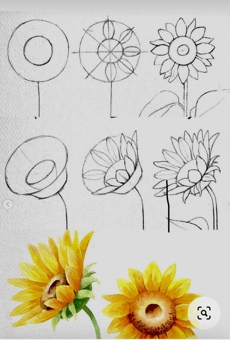 Sunflower Drawing Tutorial, How To Draw A Sunflower, Sunflower Design Drawing, Artrage Tutorial, How To Draw Sunflowers, Draw Sunflower, How To Draw Flowers, Painting Flowers Tutorial, Draw Flowers