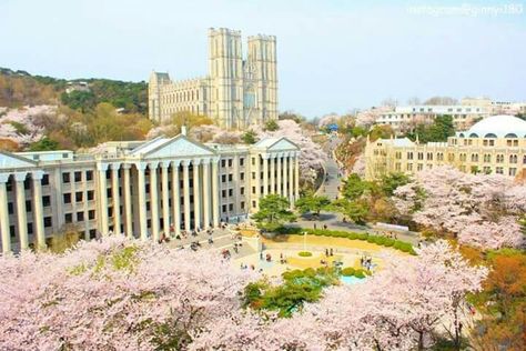 KyungHee University Kyung Hee University, Kyunghee University, Kyung Hee, Boarding School, Paris Skyline, South Korea, Aesthetic Wallpapers, The Live, Breaking News