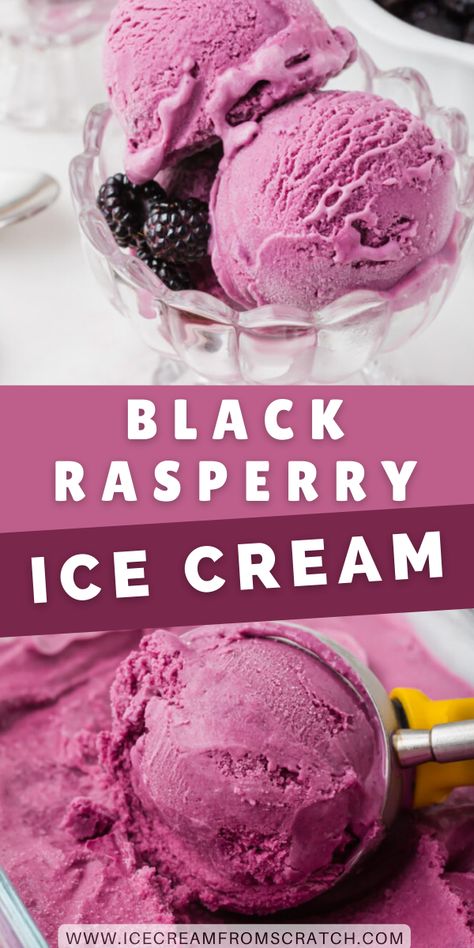 Black Raspberry Recipes, Raspberry Ice Cream Recipe, Black Raspberry Ice Cream, Ice Cream From Scratch, Homemade Ice Cream Recipes Machine, Fruity Ice Cream, Blackberry Ice Cream, Raspberry Chocolate Chip, Ice Cream Recipes Machine