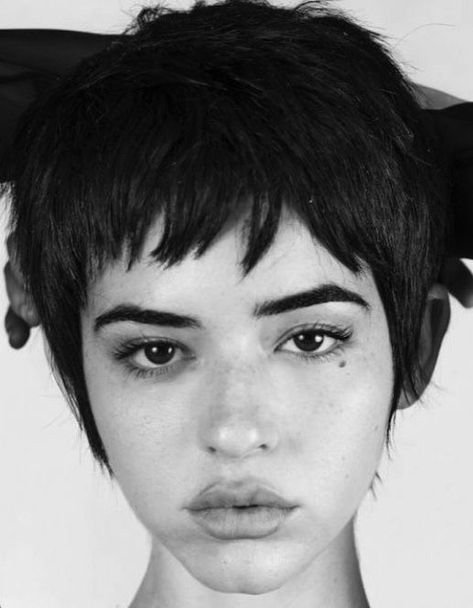 Hairstyle Short Hair, Hairstyle Short, Short Haircuts For Women, Haircuts For Women, Bob Haircut, Curly Hairstyles, Short Haircuts, Short Hairstyles, Short Hair