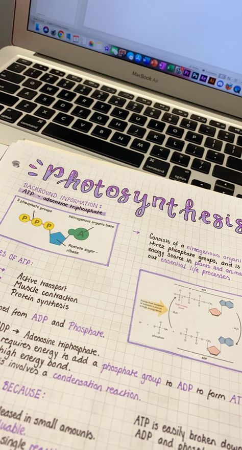 Photosynthesis Notes, School Study, School Study Tips, Photosynthesis, Study Tips, Handwriting, Back To School, Bullet Journal