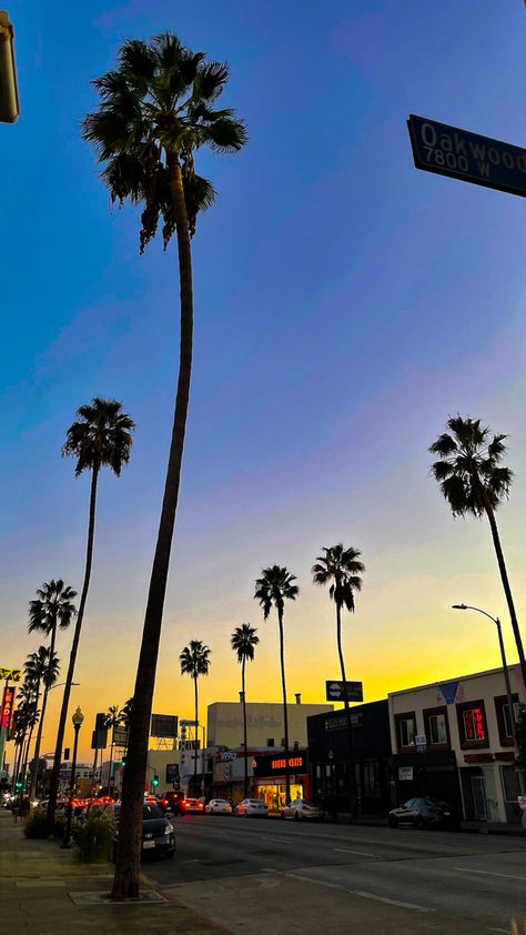 Fairfax Avenue. Fairfax Avenue Los Angeles, Fairfax Los Angeles, Santa Monica Blvd, Content Ideas, Santa Monica, Los Angeles California, West Coast, Mood Board, Angeles