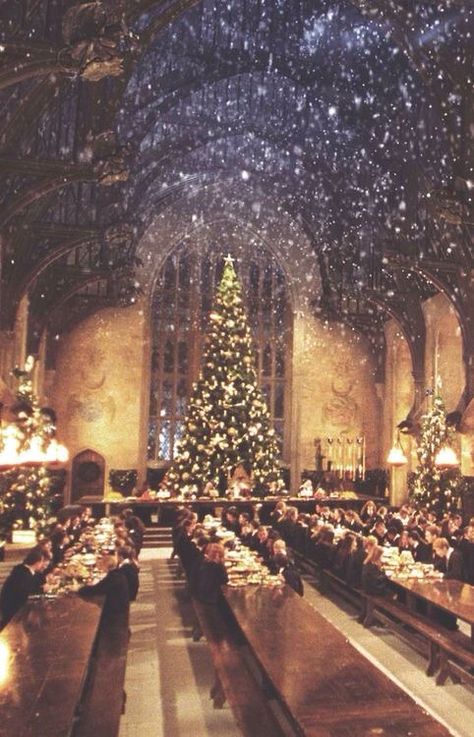 IPHONE WALLPAPER... Harry Potter Weihnachten, Video Photoshoot, Hogwarts Christmas, Tapeta Harry Potter, Harry Potter Christmas, Wallpaper Tumblr, Wallpaper Iphone Christmas, Iphone Backgrounds, Harry Potter Love