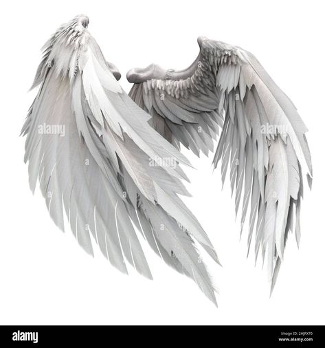 Pair of isolated angel wings with 3D feathers on white background, 3D Illustration, 3D Rendering Stock Photo - Alamy 천사와 악마, Alas Tattoo, Angel Wings Painting, Angel Wings Drawing, Sacred Heart Art, How To Render, Angel Feathers, Wings Drawing, Angel Tattoo Designs