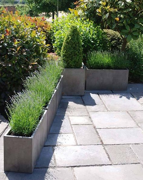 venice-trough-planters-lightweight-concrete-pots-25 Rectangle Pots Planters, Large Rectangle Planters Outdoor, Narrow Planter Ideas, Rectangular Flower Pot, Rectangle Planters Outdoor, Rectangular Planters Outdoor, Garden Trough Planters, Concrete Trough, Cube Planter