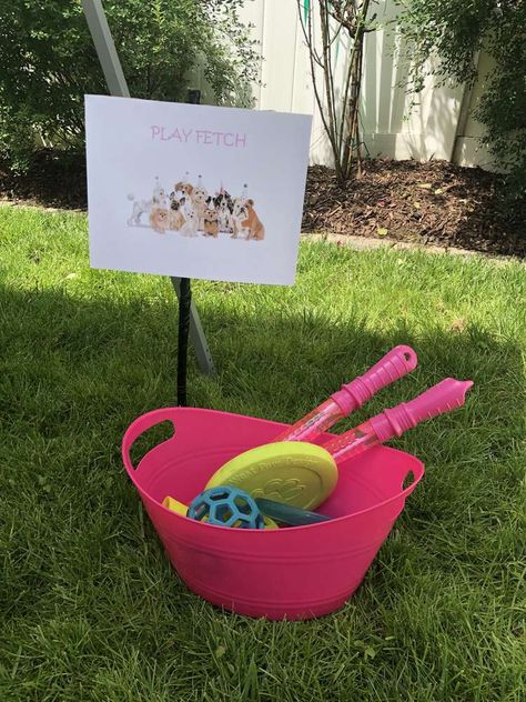 Adopt A Puppy Birthday Party, Puppy Birthday Party Ideas, Loki Birthday, Goose Birthday, Puppy Pool, Poodle Party, Puppy Birthday Party, Adopt A Puppy, Dog Backyard