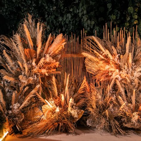 Avion Tequila Launch, Dubai 2022. Backdrop created using dried palms, pampas grass, soft lighting, bamboo. Photo Moment, Backdrop Photo, Pampas Grass, Backyard Wedding, Soft Lighting, Tequila, Dubai, Bamboo, In This Moment