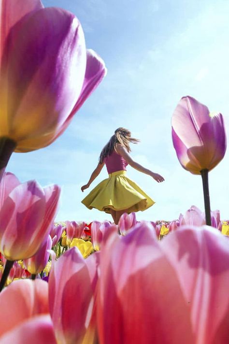 Million Flowers, Tulip Season, Spring Photoshoot, Flower Photoshoot, Tulip Festival, Tulips Garden, Tulip Fields, Spring Wallpaper, Spring Photos