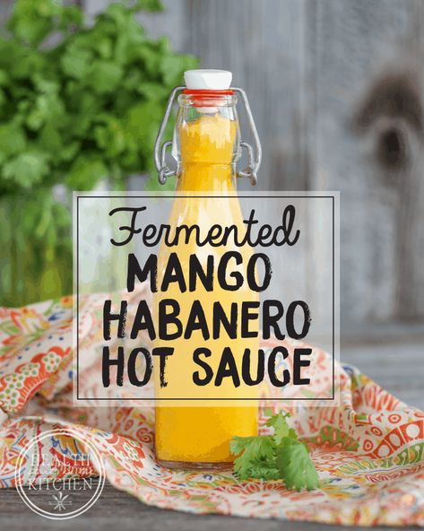 Fermented Mango Habanero Hot Sauce, Lacto Fermented Hot Sauce, Fermented Sauce, Fermented Mango, Mango Hot Sauce, Mango Habanero Hot Sauce, Fermented Hot Sauce Recipe, Store Veggies, Fermentation Station