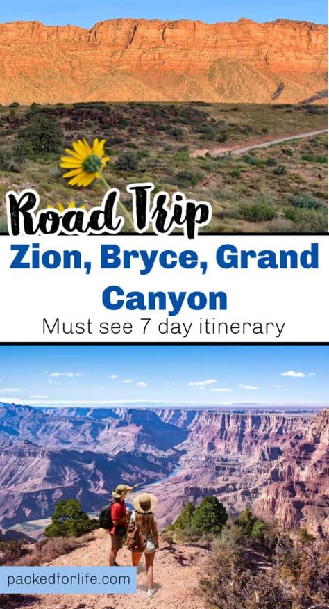 Zion, Bryce, Grand Canyon: Ultimate 7 Day Road Trip Itinerary Canyon Ultimate, Grand Canyon Vacation, Zion Park, Trip To Grand Canyon, Road Trip To Colorado, Utah Road Trip, Vacation Itinerary, National Park Vacation, National Park Road Trip