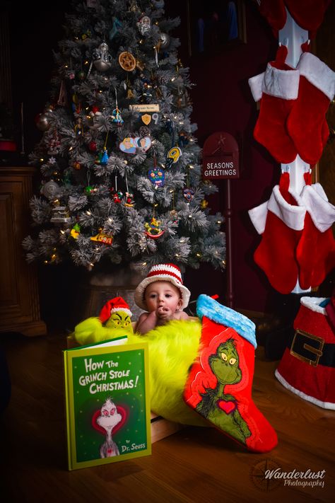 Grinch Newborn Photoshoot, Grinch Newborn Photos, Grinch Picture Ideas, Baby Grinch Photoshoot, Grinch Photoshoot Ideas, Grinch Photos, Grinch Photoshoot, The Baby Who Stole Christmas, Grinchmas Decor