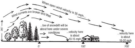 Windbreak Trees, Crop Field, Modern Agriculture, Crop Protection, Wind Break, Wind Protection, Energy Conservation, Landscape Plans, Pergola Kits