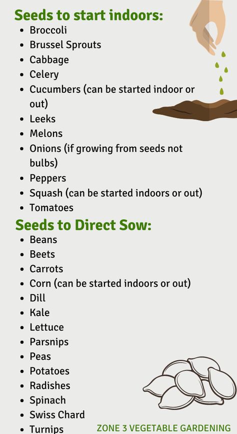 How To Grow Seeds, Grow Seeds, Vegetable Garden Planning, Starting Seeds Indoors, Homestead Gardens, Vegetable Garden Diy, Gardening Hacks, Veg Garden, Have Inspiration