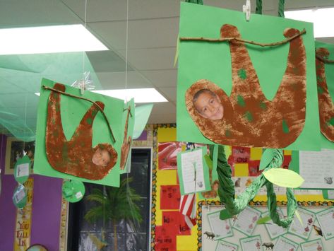 First Grade Frolics: Rainforest pictures Rainforest Preschool, Rainforest Pictures, Rainforest Classroom, Rainforest Crafts, Preschool Jungle, Jungle Activities, Rainforest Project, Rainforest Activities, Jungle Crafts