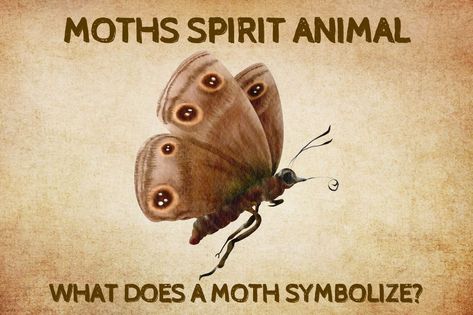 Moths are fascinating and beautiful creatures, famously drawn to the light. But what spiritual meaning do they hold? We’re going to look at the symbolism behind moths, exploring their appearance in the belief systems of Moth Spirit Animal Meaning, Spirit Animal Test, Moth Meaning, Moth Symbolism, Spirit Animal Quiz, Leopard Moth, Moth Fly, Animal Quiz, Deaths Head Moth