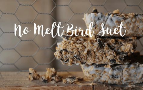 How To Make Bird Suet Cakes, No Melt Suet Cakes For Birds Recipes, Diy Bird Suet Recipes, No Melt Suet Cakes For Birds, Diy Suet Feeder Holder, Bird Suet Recipes Homemade, Suet Cakes For Birds Recipes, Goodwill Crafts, No Melt Suet