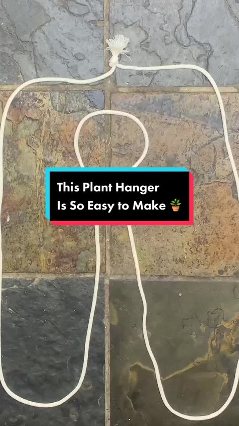 This chic plant hanger is so easy to make and only takes a piece of ro... | diy plant hanger | TikTok Diy Plant Hangers Easy, Easy Diy Plant Hanger Rope, Diy Simple Plant Hanger, Plant Hanger Brackets, Nature, How To Make Plant Hangers Simple, Diy Yarn Plant Hanger, Simple Diy Macrame Plant Hanger, Diy Indoor Plant Hanger