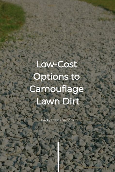 For many homeowners, a backyard is a place where they can relax and enjoy themselves. But a bare backyard full of dirt and weeds isn’t what most people have in mind when they’re thinking of spending some time outdoors. Unfortunately, you may have to deal with this at certain times of the year. But is Dirt Landscape Ideas, Dirt Yard Makeover On A Budget, Dirt Backyard Ideas, Dirt Backyard Makeover Diy, Grass Species, Planting Grass, Relaxing Backyard, Recycled Brick, Sloped Backyard