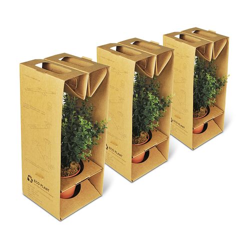 Red Dot Design Award: Eco Plant Eco Packaging Ideas, Eco Packaging Design, Corrugated Packaging, Packaging Design Trends, Packaging Food, Packaging Ideas Business, Eco Packaging, Plant Box, Box Packaging Design