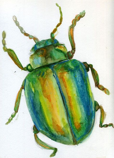 Beetle Watercolor Insects, Sketch Ideas For Watercolor, Beetle Drawing Reference, Bug Watercolor Painting, Insect Watercolor Painting, Cute Beetle Drawing, Drawings For Watercolor, Watercolor Bugs Insects, Bug Painting Ideas