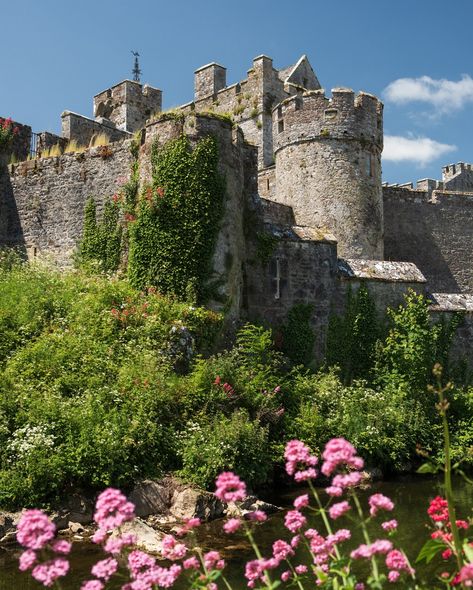 The summer in Ireland is magical. ✨ Some might say it rains a lot. But if it didn’t, it wouldn’t be as lush and green. 🌿🙌  📍Cliffs of Moher, County Clare 📍The Swiss Cottage, County Tipperary 📍Killarney National Park, County Kerry 📍Garnish Island, County Cork 📍Bantry, County Cork 📍Cahir Castle, County Tipperary Cork Ireland Photography, Ireland Core, Cahir Castle, Ireland Roadtrip, Summer In Ireland, Ireland Islands, Tipperary Ireland, Ireland Aesthetic, Uk Life