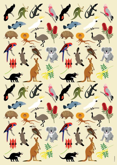 This beautiful wrapping paper will add extra impact when giving your Australian gift. The wrapping paper has been made in Australia and designed by WilsonPayne. Based on the Aussie Wildlife Teatowel, this gift wrap has been assembled into a collage of flora and fauna to capture the essence of Australia. Kangaroos, Wombats, Pink Galahs, Echidnas and Possums as well as Golden Wattle and Bottlebrush are featured on the wrapping paper. Printed in Australia on 113gsm acid free, FSC accredited paper. Australian Animals Illustration, Australian Illustration, Australian Prints, Australia Culture, Australia Illustration, Australia Wildlife, Zoo Logo, Australia Tattoo, Wildlife Design