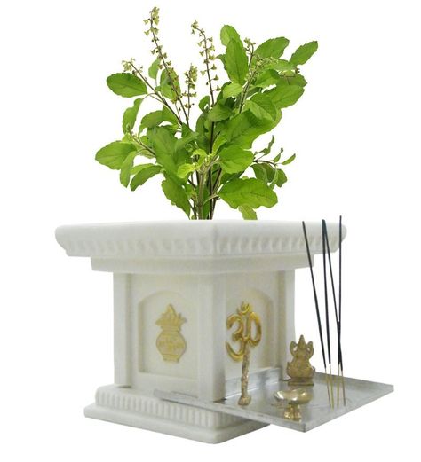 Tulsi Pot Design, Tulasi Plant, Tulsi Pot, Ocimum Tenuiflorum, Tulsi Vivah, Tulsi Plant, Temple Design For Home, Pot Design, Pooja Room Door Design