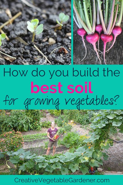 What is the best soil for a vegetable garden? Soil health is one of the most important factors in the success of your garden. Best Soil For Vegetable Garden, Soil For Vegetable Garden, Garden Soil Mix, Vegetable Garden Soil, Vegetable Garden Tips, Vegetable Garden Raised Beds, Small Vegetable Gardens, Vegetable Gardens, Garden Veggies