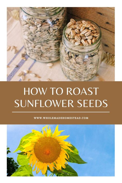 Learn how to roast sunflower seeds at home with this step-by-step tutorial — from planting the flower and harvesting the seeds to roasting and storing. How To Roast Sunflower Seeds, Homemade Sunflower Seeds, Roasted Sunflower Seed Recipes, Roasting Sunflower Seeds, Sunflower Seed Recipes, How To Make Sunflower, How To Roast, Roasted Nuts, Starting A Garden